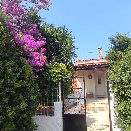 Olive Grove Cottage Skalani Κνωσός Εξωτερικό φωτογραφία