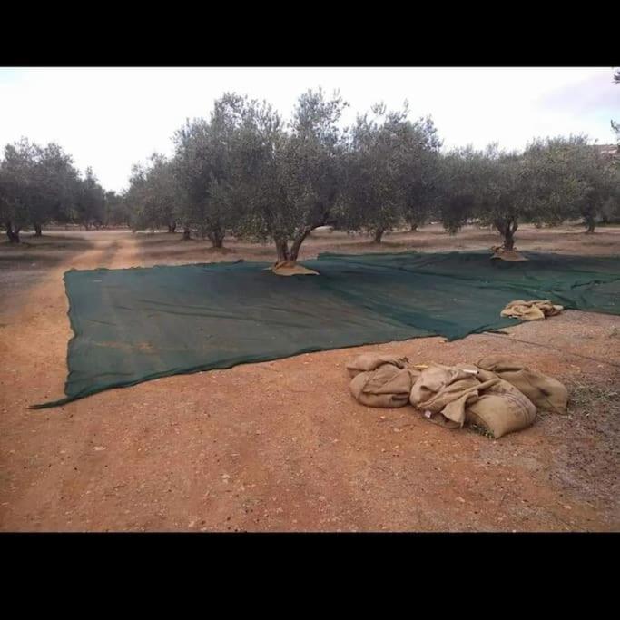 Olive Grove Cottage Skalani Κνωσός Εξωτερικό φωτογραφία