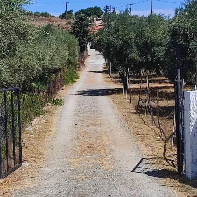 Olive Grove Cottage Skalani Κνωσός Εξωτερικό φωτογραφία
