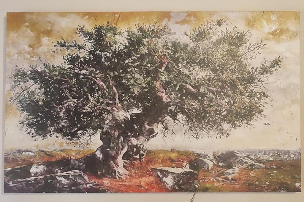 Olive Grove Cottage Skalani Κνωσός Εξωτερικό φωτογραφία