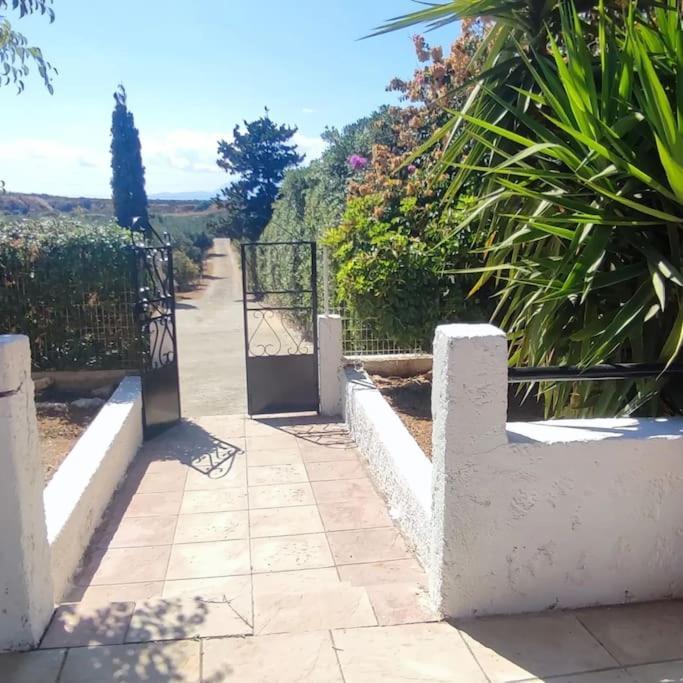 Olive Grove Cottage Skalani Κνωσός Εξωτερικό φωτογραφία