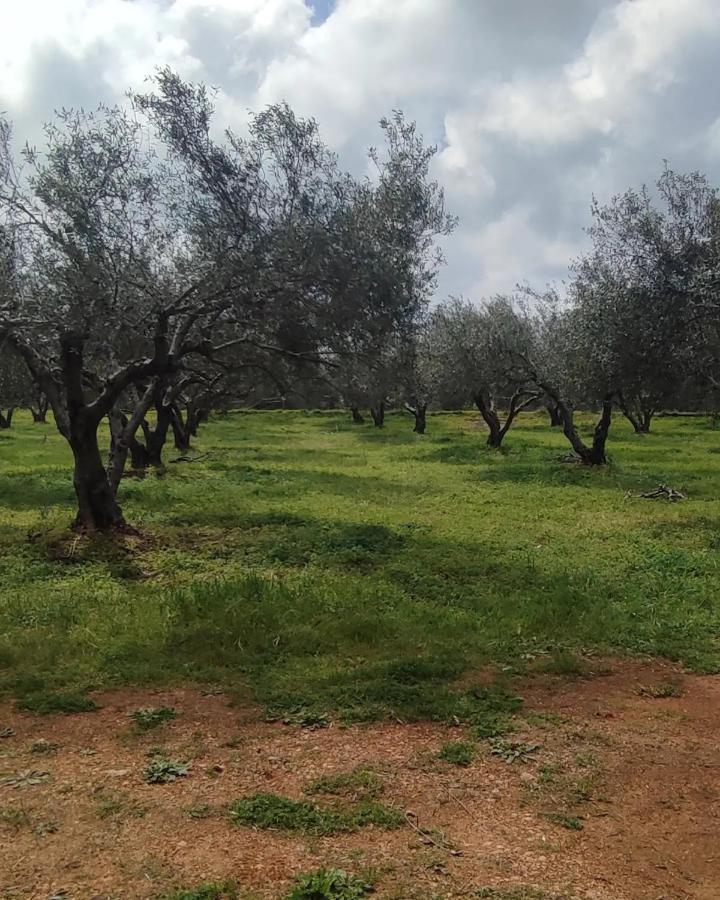 Olive Grove Cottage Skalani Κνωσός Εξωτερικό φωτογραφία