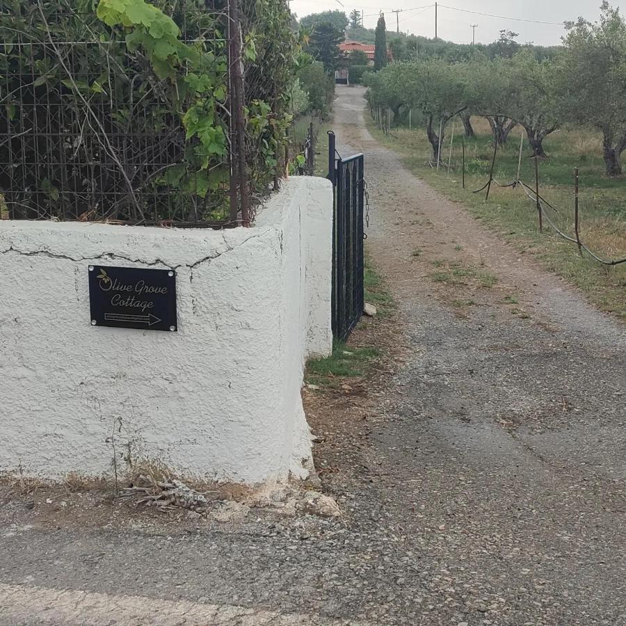 Olive Grove Cottage Skalani Κνωσός Εξωτερικό φωτογραφία