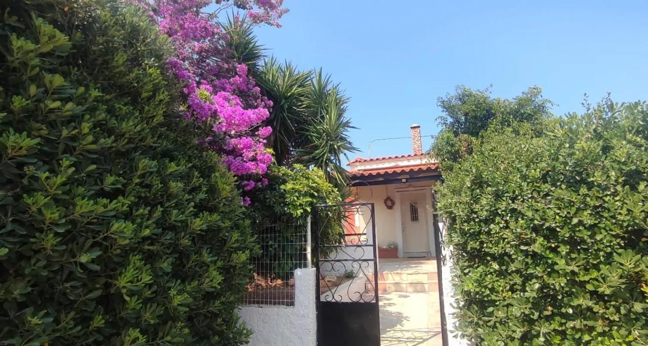 Olive Grove Cottage Skalani Κνωσός Εξωτερικό φωτογραφία
