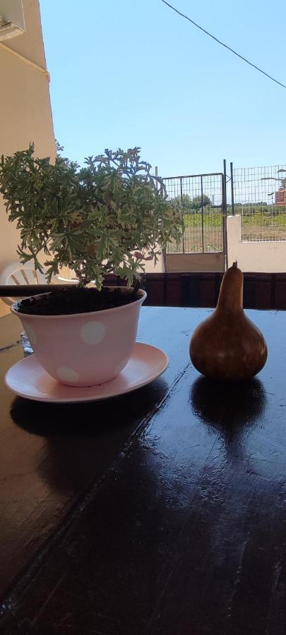Olive Grove Cottage Skalani Κνωσός Εξωτερικό φωτογραφία